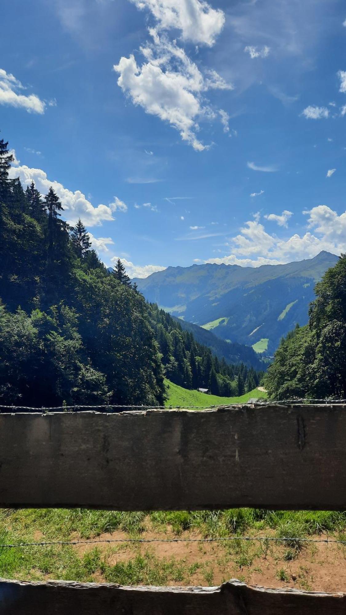 ホテル Haus Gmahblick Ferienwonungen アルプバッハ エクステリア 写真